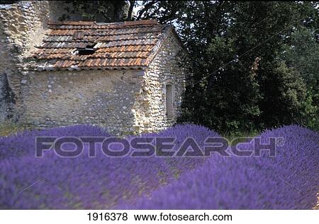 Provence View Large Photo Image Stock Photo - Provence. Fotosearch