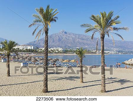 Stock Photograph - Puerto banus beach with la concha mountain in background; marbella costa del sol malaga province andalusia spain. Fotosearch