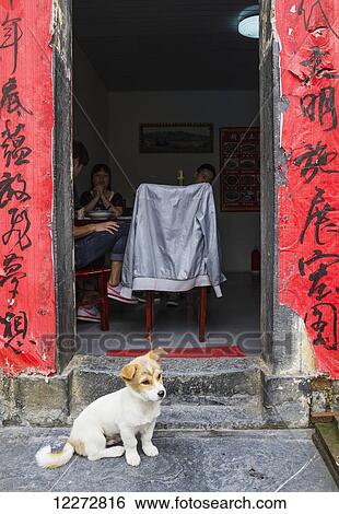 Puppy by a house, Xidi, Anhui, China View Large Photo Image Stock Photograph - Puppy by a house, Xidi, Anhui, China. Fotosearch