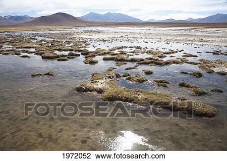 Puritama River, Antofagasta Region, Chile View Large Photo Image Stock Image - Puritama River, Antofagasta Region, Chile. Fotosearch