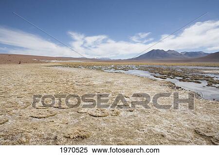 Puritama River In Antofagasta Region, Chile View Large Photo Image Stock Photography - Puritama River In Antofagasta Region, Chile. Fotosearch