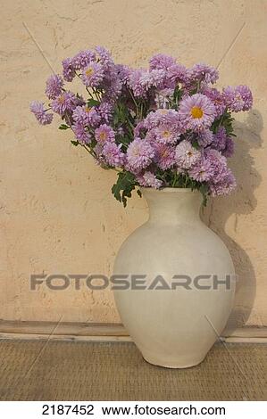 Stock Image - Purple flowers in a vase, Riad Ben Moro, Skoura Oasis; Morocco. Fotosearch