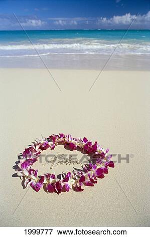 Stock Photo - Purple Orchid Lei On White Sand Beach, Aloha Written In The Center, Ocean Background C1451. Fotosearch