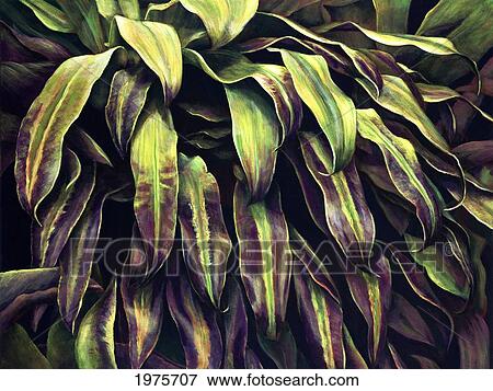 Stock Photo - Purple Ti, Layers Of Ti-Leaves (Acrylic Painting).. Fotosearch