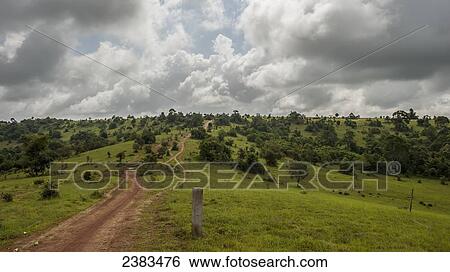 Stock Photograph - Putang hillside; Sen Monorom, Mondulkiri, Cambodia. Fotosearch