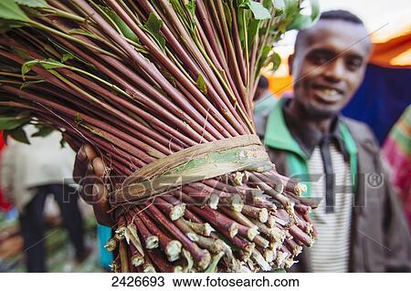 Qat sellers in a market just outside the old city of Harar in Eastern Ethiopia; Harar, Ethiopia View Large Photo Image Stock Image - Qat sellers in a market just outside the old city of Harar in Eastern Ethiopia; Harar, Ethiopia. Fotosearch
