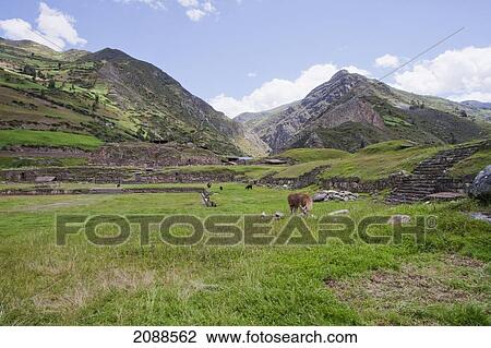 Stock Image - Quadrangular Ceremonial Plaza, Chavin De Huantar, Ancash, Peru. Fotosearch