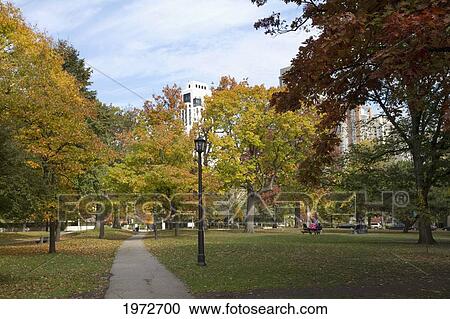 Queen's Park In Fall, Toronto, Ontario, Canada View Large Photo Image Stock Image - Queen's Park In Fall, Toronto, Ontario, Canada. Fotosearch