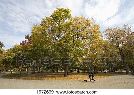 Stock Photo - Queen's Park In Fall, Toronto, Ontario, Canada. Fotosearch