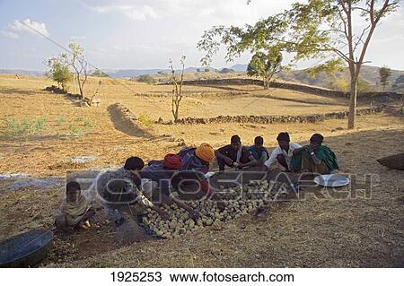 Stock Image - Rabri Men Baking Batta, Rajasthan, India. Fotosearch