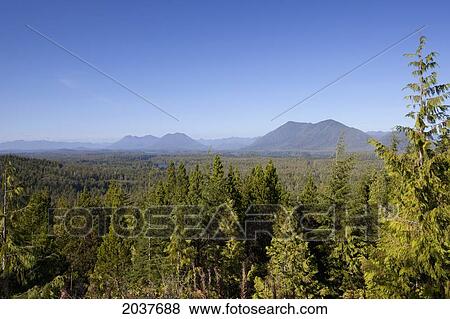 Stock Photo - Radar Hill View Point Looking Out Toward Mountains And Temperate Rainforest In Pacific Rim National Park Near Tofino; British Columbia Canada. Fotosearch