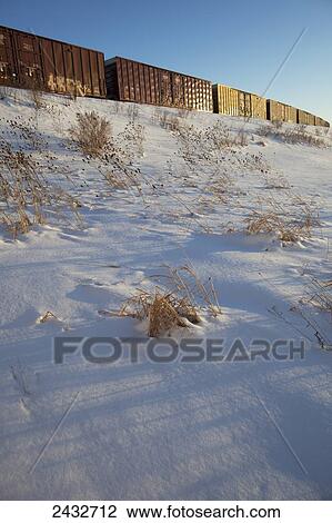 Railroad boxcars in winter; Milton, Ontario, Canada View Large Photo Image Stock Image - Railroad boxcars in winter; Milton, Ontario, Canada. Fotosearch