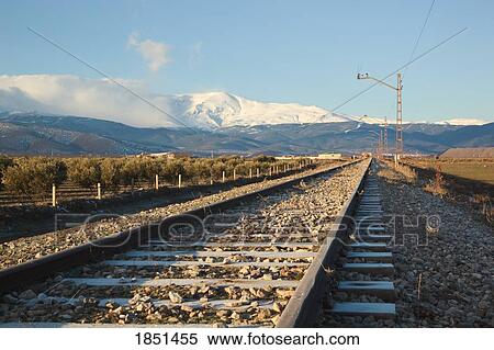 Railroad Tracks View Large Photo Image Stock Photography - Railroad Tracks. Fotosearch