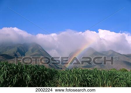 Rainbow Between Mountains, Layer Of Large White Clouds With Blue Skies Above View Large Photo Image Picture - Rainbow Between Mountains, Layer Of Large White Clouds With Blue Skies Above. Fotosearch