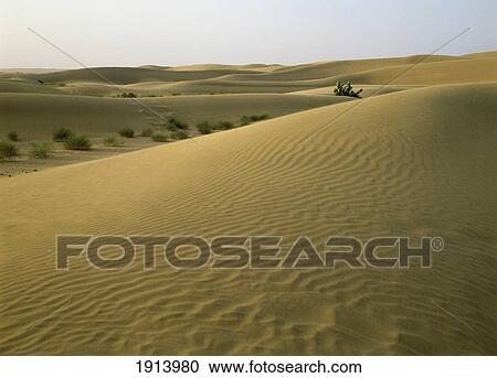 Stock Image - Rajasthan, India. Fotosearch