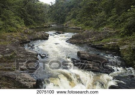 Ranomafana River, Ranomafana National Park, Fianarantsoa Province, Madagascar View Large Photo Image Stock Image - Ranomafana River, Ranomafana National Park, Fianarantsoa Province, Madagascar. Fotosearch