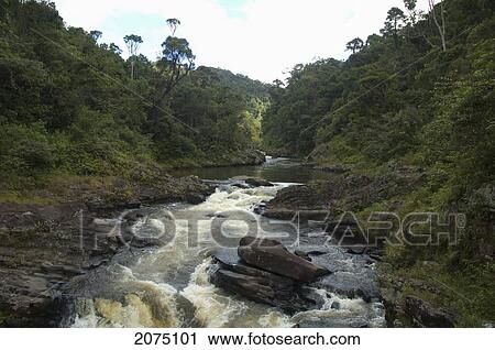 Ranomafana River, Ranomafana National Park, Fianarantsoa Province, Madagascar View Large Photo Image Stock Image - Ranomafana River, Ranomafana National Park, Fianarantsoa Province, Madagascar. Fotosearch
