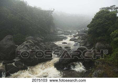 Ranomafana River, Ranomafana National Park, Fianarantsoa Province, Madagascar View Large Photo Image Stock Image - Ranomafana River, Ranomafana National Park, Fianarantsoa Province, Madagascar. Fotosearch