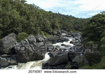 Ranomafana River, Ranomafana National Park, Fianarantsoa Province, Madagascar View Large Photo Image Stock Photo - Ranomafana River, Ranomafana National Park, Fianarantsoa Province, Madagascar. Fotosearch