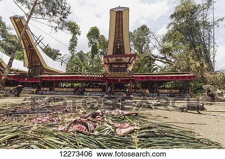 Rante, the ceremonial site where the meat of slaughtered cattle will be distributed to the guests of a Torajan funeral, in Sereale, Toraja Land, South Sulawesi, Indonesia View Large Photo Image Stock Photograph - Rante, the ceremonial site where the meat of slaughtered cattle will be distributed to the guests of a Torajan funeral, in Sereale, Toraja Land, South Sulawesi, Indonesia. Fotosearch