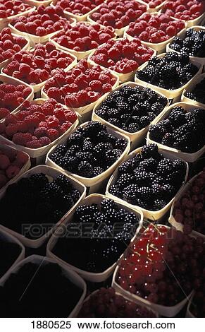 Raspberries, Blackberries, Currants In A Market View Large Photo Image Stock Photography - Raspberries, Blackberries, Currants In A Market. Fotosearch