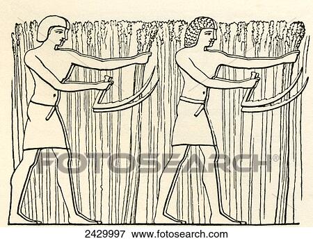 Reaping in ancient Egypt. From The Imperial Bible Dictionary, published 1889. View Large Photo Image Stock Photo - Reaping in ancient Egypt. From The Imperial Bible Dictionary, published 1889.. Fotosearch
