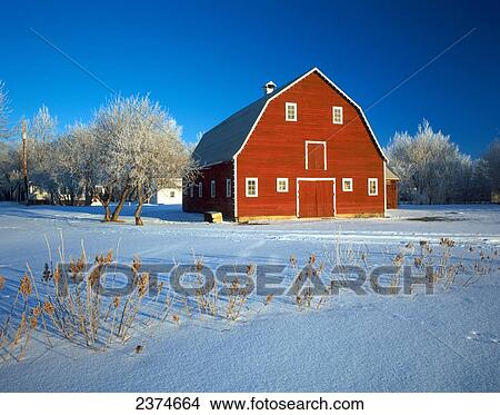 Red barn in winter; Grande Pointe, Manitoba, Canada View Large Photo Image Picture - Red barn in winter; Grande Pointe, Manitoba, Canada. Fotosearch