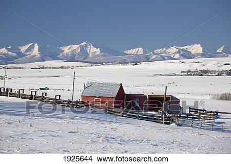 Red Barns In A Snow Covered Field With Snow Covered Mountains In The Background Against A Blue Sky; Okotoks, Alberta, Canada View Large Photo Image Picture - Red Barns In A Snow Covered Field With Snow Covered Mountains In The Background Against A Blue Sky; Okotoks, Alberta, Canada. Fotosearch