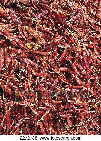 Stock Photo - Red chillies drying; allepey kerala south india. Fotosearch