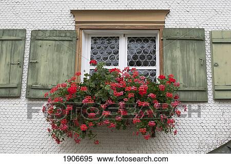 Stock Photography - Red Flowers In A Flower Box Under A Window With Old Green Painted Shutters; Oberstdorf, Germany. Fotosearch