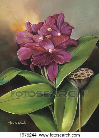 Picture - Red Orchid, Orchid Blossoms On Leafy Stems (Oil Painting).. Fotosearch