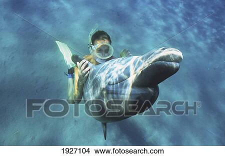 Red Sea Tursiops Truncatus Bottlenose Dolphin With Girl View Large Photo Image Picture - Red Sea Tursiops Truncatus Bottlenose Dolphin With Girl. Fotosearch