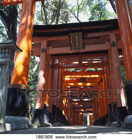Red Torii Arches Over A Path At Inari Temple, Fushimi. View Large Photo Image Stock Photograph - Red Torii Arches Over A Path At Inari Temple, Fushimi.. Fotosearch
