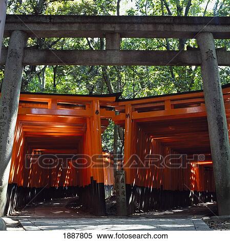 Stock Photography - Red Torii Arches Over Paths At Inari Temple, Fushimi.. Fotosearch