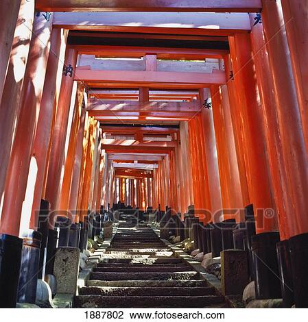 Red Torii Arches Over Steps At Inari Temple. View Large Photo Image Stock Image - Red Torii Arches Over Steps At Inari Temple.. Fotosearch