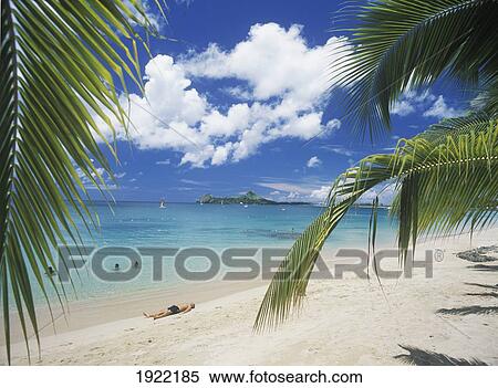 Stock Photography - Reduit Beach View To Pigeon Island. Fotosearch