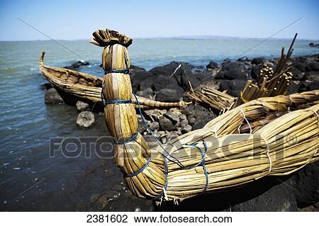 Reed boats on one of the islands on Lake Tana close to Bahir Dar; Amhara, Ethiopia View Large Photo Image Stock Image - Reed boats on one of the islands on Lake Tana close to Bahir Dar; Amhara, Ethiopia. Fotosearch