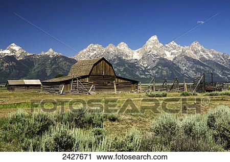 Reed Mounton Homestead barn and Teton Mountains behind; Wyoming, United States of America View Large Photo Image Stock Image - Reed Mounton Homestead barn and Teton Mountains behind; Wyoming, United States of America. Fotosearch