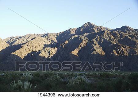 Stock Photograph - Reeds by Rio Jachal at sunrise, San Juan, Argentina. Fotosearch