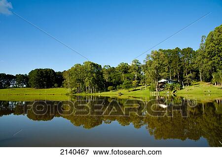 Reflecion Of Trees In A Pond In Santa Barbara Do Sul, Rio Grande Do Sul, Brazil View Large Photo Image Stock Photo - Reflecion Of Trees In A Pond In Santa Barbara Do Sul, Rio Grande Do Sul, Brazil. Fotosearch