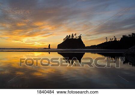 Reflected Sunset In Tidepool At Second Beach; Olympic National Park, Washington State, Usa View Large Photo Image Picture - Reflected Sunset In Tidepool At Second Beach; Olympic National Park, Washington State, Usa. Fotosearch