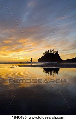 Reflected Sunset In Tidepool At Second Beach; Olympic National Park, Washington State, Usa View Large Photo Image Stock Photography - Reflected Sunset In Tidepool At Second Beach; Olympic National Park, Washington State, Usa. Fotosearch