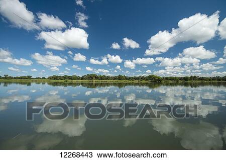 Reflections across the calm waters of the Shire River, Liwonde National Park; Malawi View Large Photo Image Stock Image - Reflections across the calm waters of the Shire River, Liwonde National Park; Malawi. Fotosearch