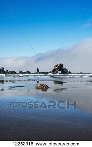 Reflections caught on a wet beach; Cannon Beach, Oregon, United States of America View Large Photo Image Stock Photograph - Reflections caught on a wet beach; Cannon Beach, Oregon, United States of America. Fotosearch