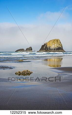 Stock Photography - Reflections caught on a wet beach; Cannon Beach, Oregon, United States of America. Fotosearch
