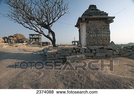Stock Photo - Religious and historic structure beside a leafless tree; Hampi, Karnataka, India. Fotosearch