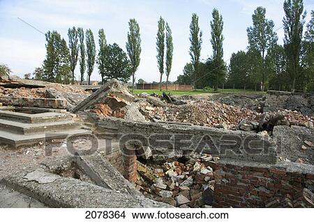 Remains Of Gas Chamber And Crematorium #2, Destroyed By The Nazis In A Futile Effort To Conceal Their Crimes, Auschwitz-Birkenau Concentration Camp, Oswiecim, Malopolska, Poland View Large Photo Image Picture - Remains Of Gas Chamber And Crematorium #2, Destroyed By The Nazis In A Futile Effort To Conceal Their Crimes, Auschwitz-Birkenau Concentration Camp, Oswiecim, Malopolska, Poland. Fotosearch
