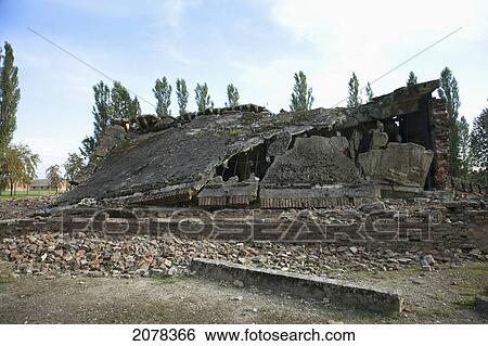 Remains Of Gas Chamber And Crematorium #2, Destroyed By The Nazis In A Futile Effort To Conceal Their Crimes, Auschwitz-Birkenau Concentration Camp, Oswiecim, Malopolska, Poland View Large Photo Image Stock Photograph - Remains Of Gas Chamber And Crematorium #2, Destroyed By The Nazis In A Futile Effort To Conceal Their Crimes, Auschwitz-Birkenau Concentration Camp, Oswiecim, Malopolska, Poland. Fotosearch