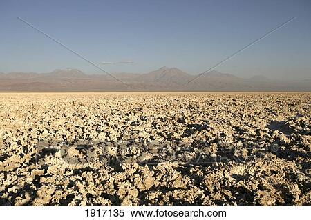 Reserva Nacional Los Flamencos View Large Photo Image Stock Photography - Reserva Nacional Los Flamencos. Fotosearch
