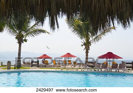 Resort pool, umbrellas, palm trees and ocean view; Puerto Vallarta, Jalisco, Mexico View Large Photo Image Stock Photo - Resort pool, umbrellas, palm trees and ocean view; Puerto Vallarta, Jalisco, Mexico. Fotosearch
